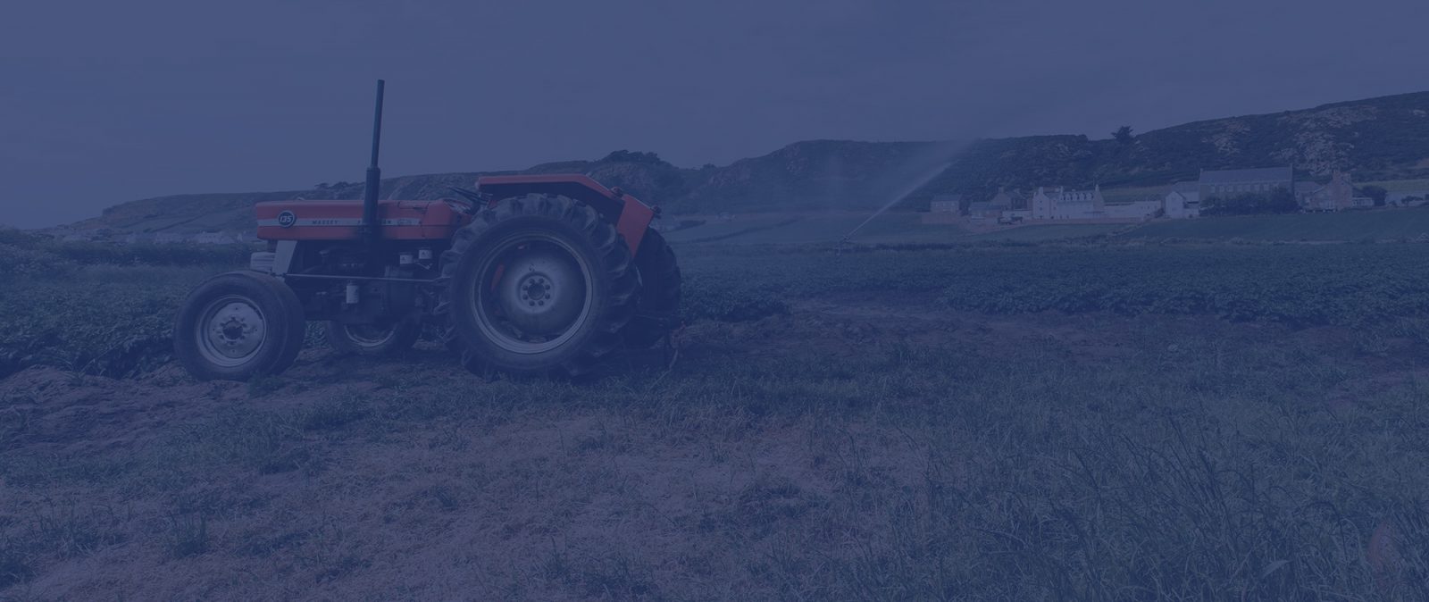 Multi-industria e internacional: ¿Qué sigue para Quipasur?
