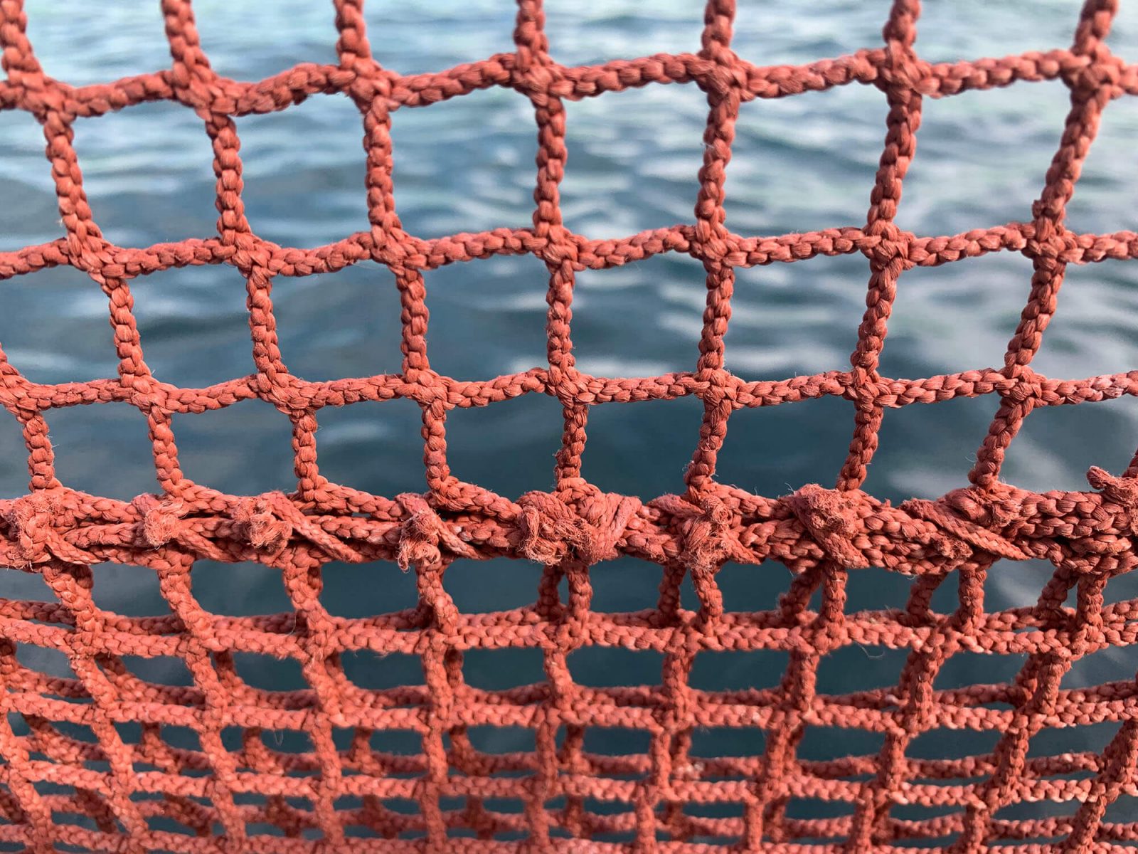 Pinturas antifouling quipasur