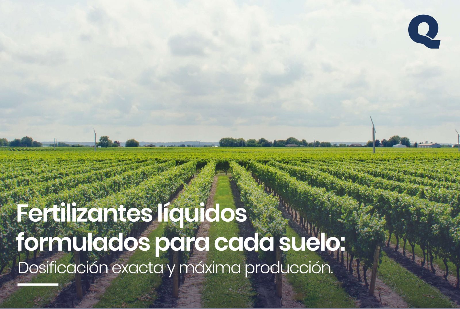 Fertilizantes liquidos