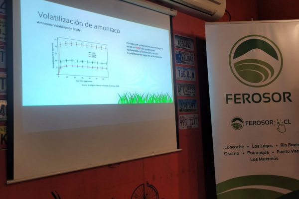 Fertilizante liquido sur de chile2
