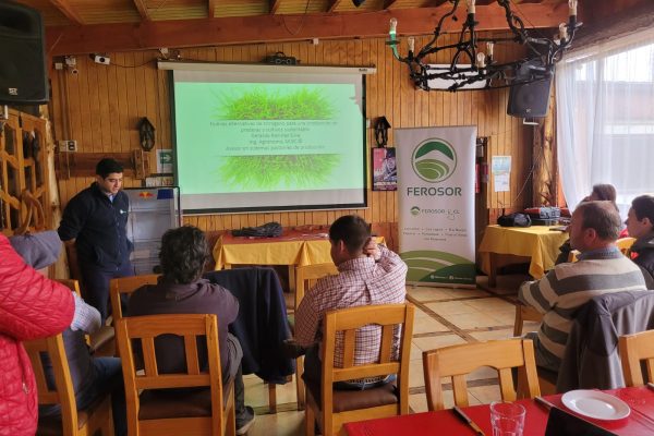 Nutricion de plantas