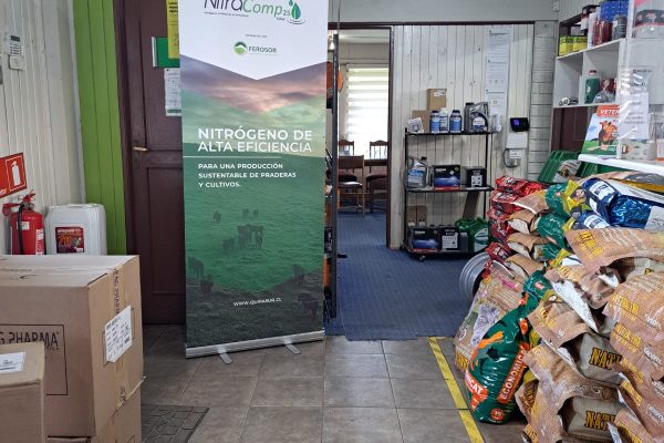 Nutricion de plantas